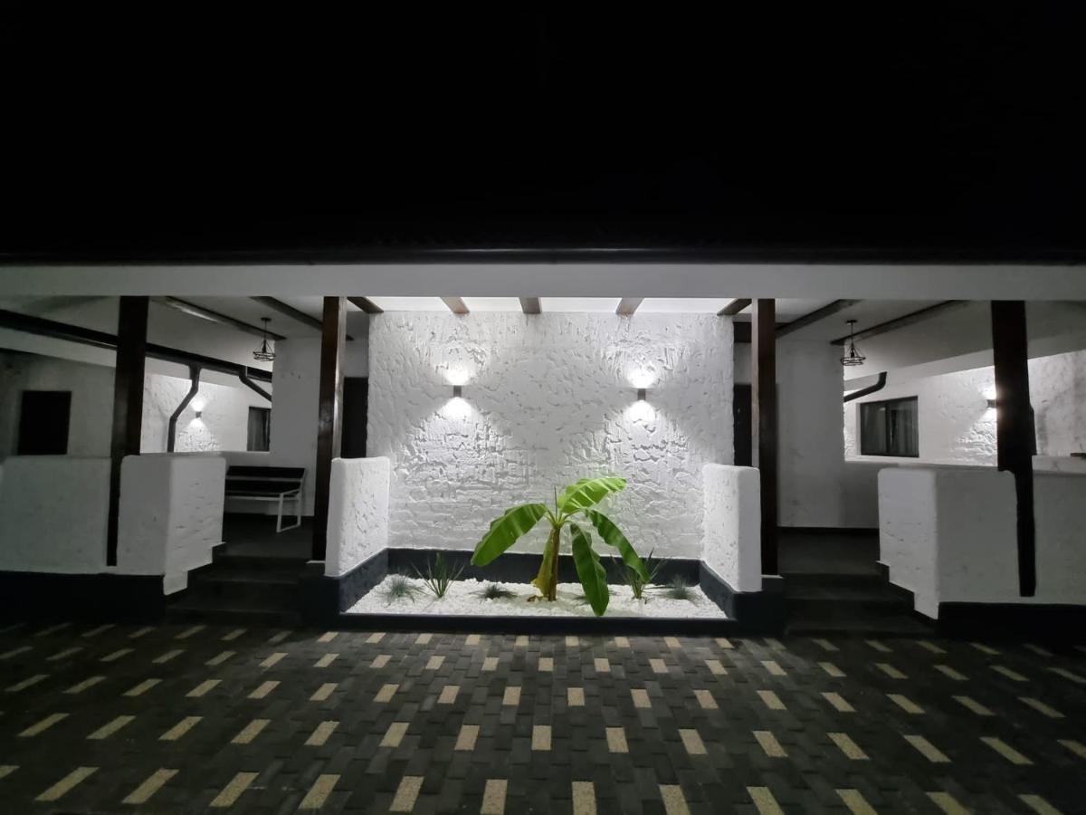 Bungalow Terra Kordu Băile Felix Εξωτερικό φωτογραφία