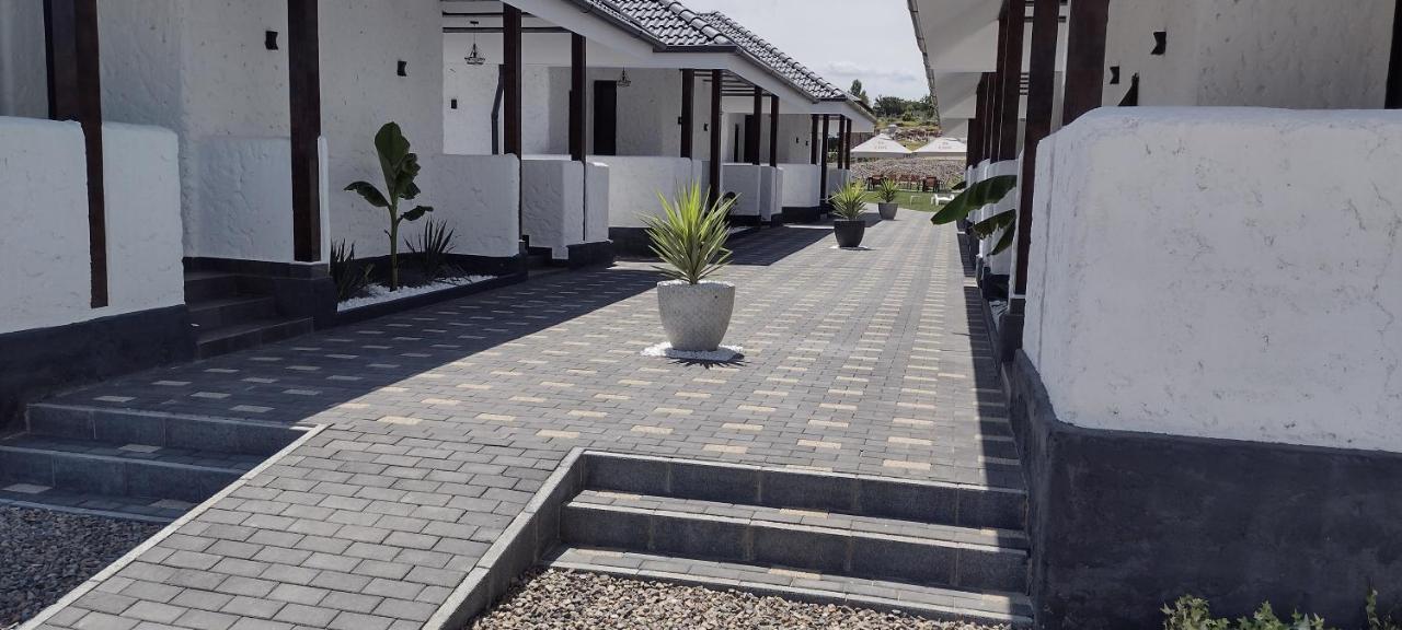 Bungalow Terra Kordu Băile Felix Εξωτερικό φωτογραφία